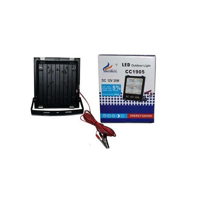 Generic 30W DC-12V FLOODLIGHT - Image 2