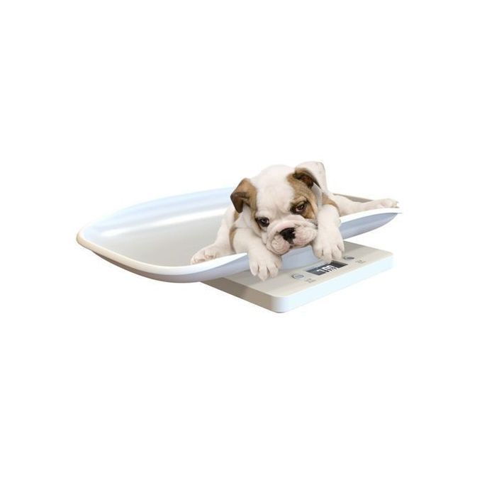 Generic Digital Baby Scale Maximum Weight 25kgs - Image 3